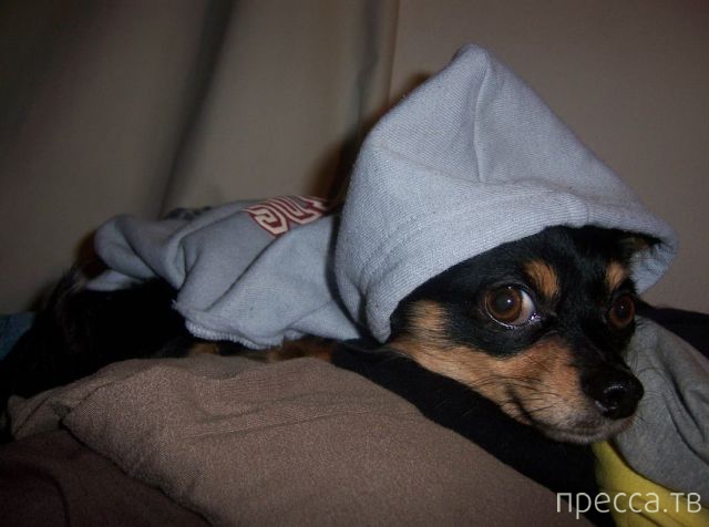 ����� �������� - �������� ��������, ����� 28 (46 ����)