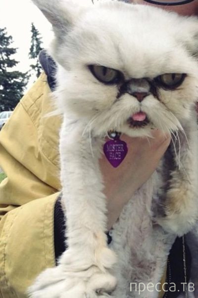 ����� �������� - �������� ��������, ����� 28 (46 ����)