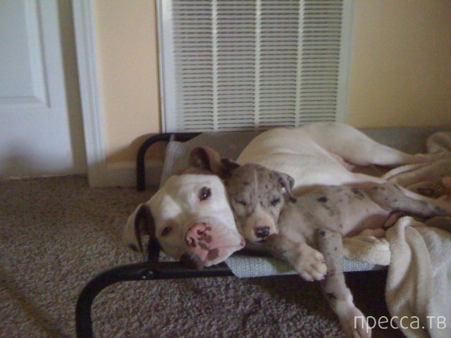 ����� �������� - �������� ��������, ����� 28 (46 ����)