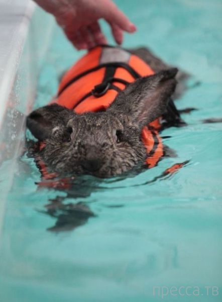 ����� �������� - �������� ��������, ����� 28 (46 ����)