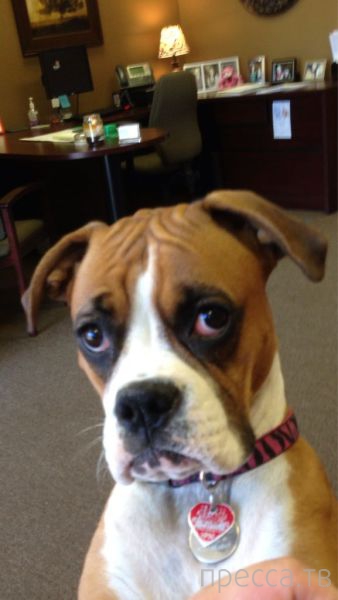 ����� �������� - �������� ��������, ����� 28 (46 ����)