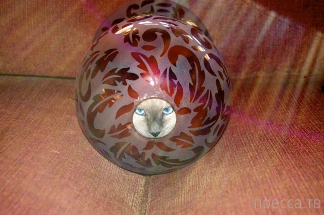 ����� �������� - �������� ��������, ����� 28 (46 ����)