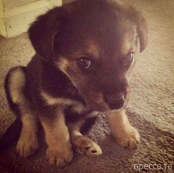 ����� �������� - �������� ��������, ����� 28 (46 ����)