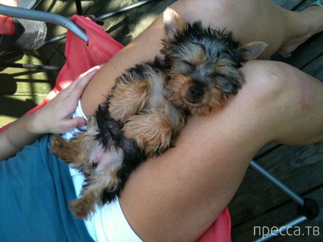 ����� �������� - �������� ��������, ����� 28 (46 ����)