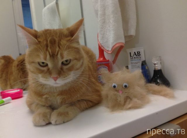 ����� �������� - �������� ��������, ����� 28 (46 ����)