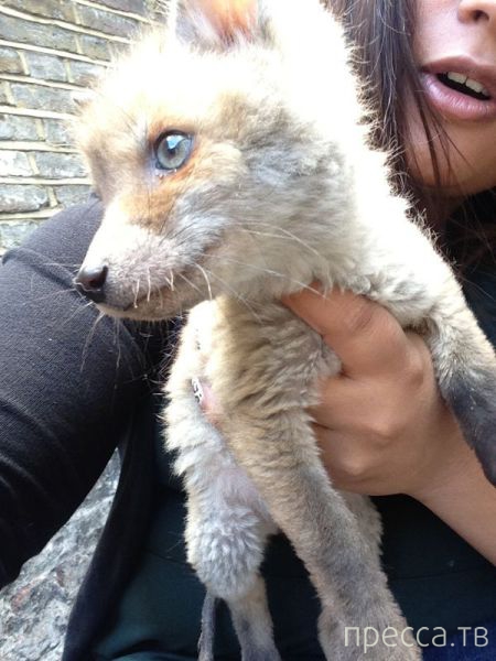 ����� �������� - �������� ��������, ����� 28 (46 ����)