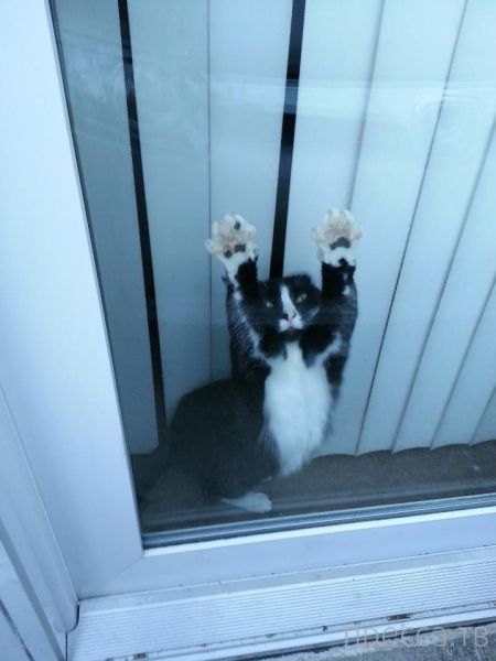 ����� �������� - �������� ��������, ����� 28 (46 ����)