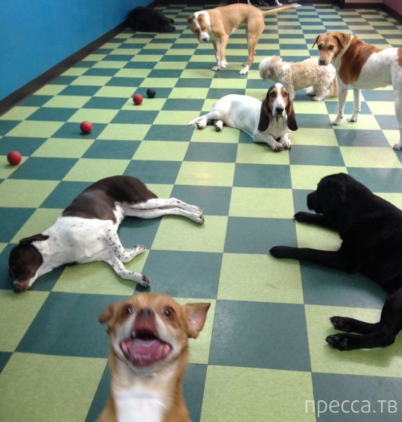 ����� �������� - �������� ��������, ����� 28 (46 ����)