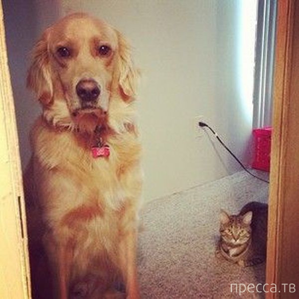 ����� �������� - �������� ��������, ����� 28 (46 ����)