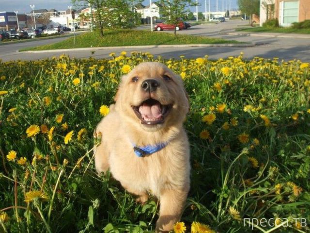 ����� �������� - �������� ��������, ����� 28 (46 ����)