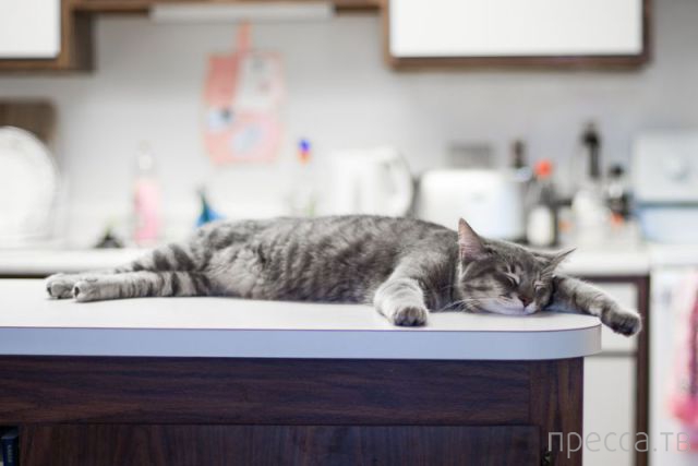 ����� �������� - �������� ��������, ����� 29 (42 ����)