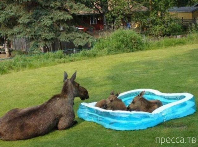 ����� �������� - �������� ��������, ����� 29 (42 ����)