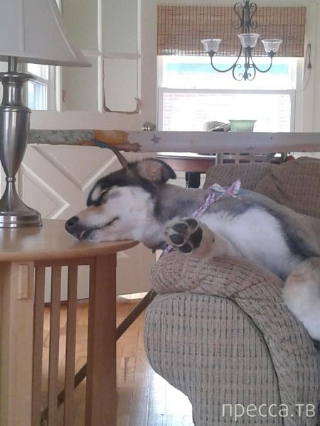 ����� �������� - �������� ��������, ����� 29 (42 ����)