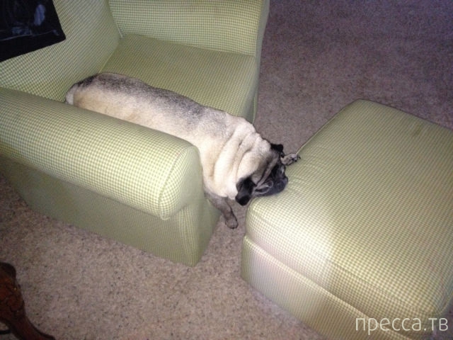 ����� �������� - �������� ��������, ����� 29 (42 ����)