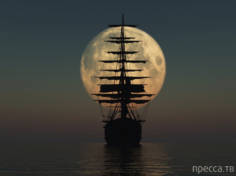 ����� ���������� � ���� �������� (14 ����)