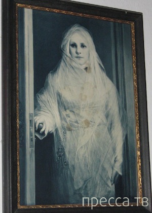 ����� ���������� � ���� �������� (14 ����)