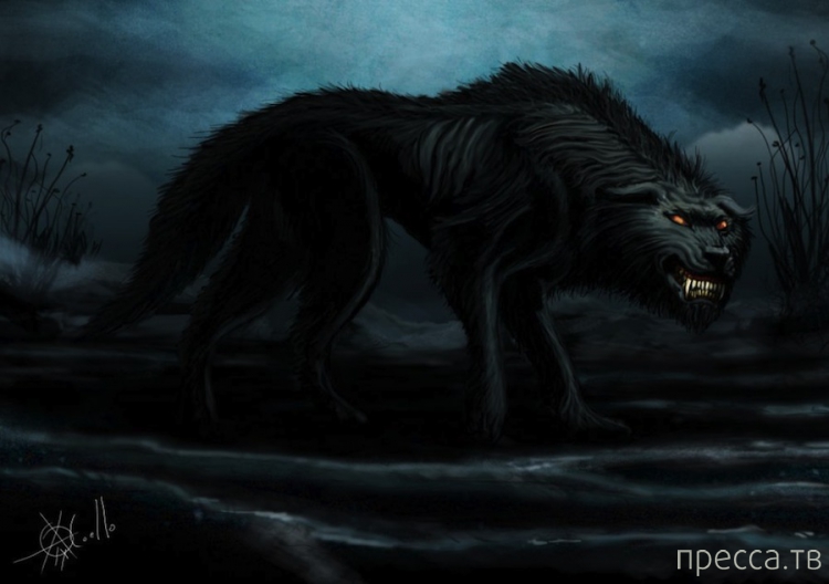 ����� ���������� � ���� �������� (14 ����)