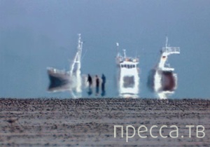 ����� ���������� � ���� �������� (14 ����)