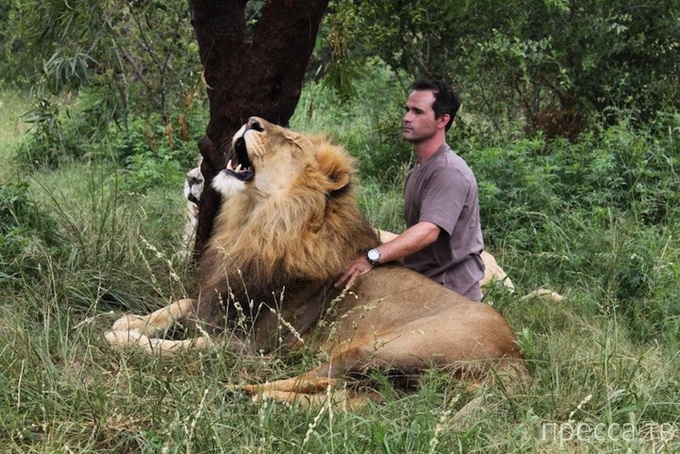 ������ ����� ��������� (Kevin Richardson) ���������� �� ������ (13 ����)