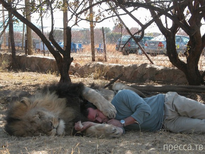 ������ ����� ��������� (Kevin Richardson) ���������� �� ������ (13 ����)