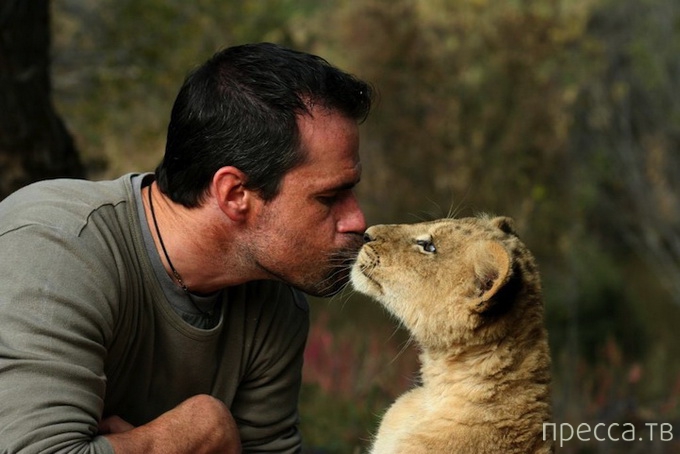 ������ ����� ��������� (Kevin Richardson) ���������� �� ������ (13 ����)