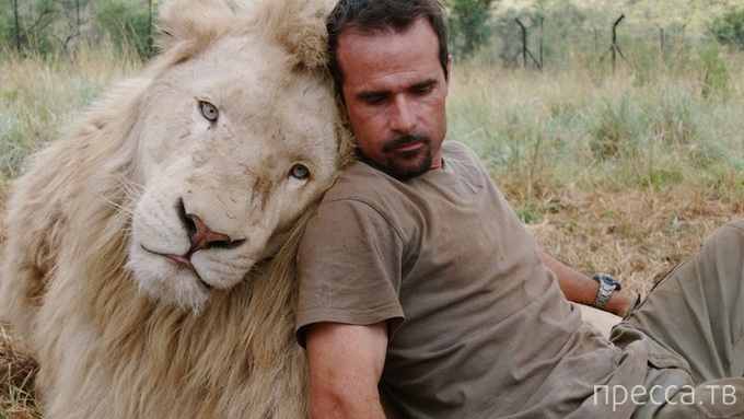 ������ ����� ��������� (Kevin Richardson) ���������� �� ������ (13 ����)