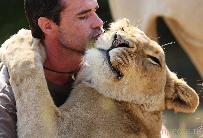 ������ ����� ��������� (Kevin Richardson) ���������� �� ������ (13 ����)
