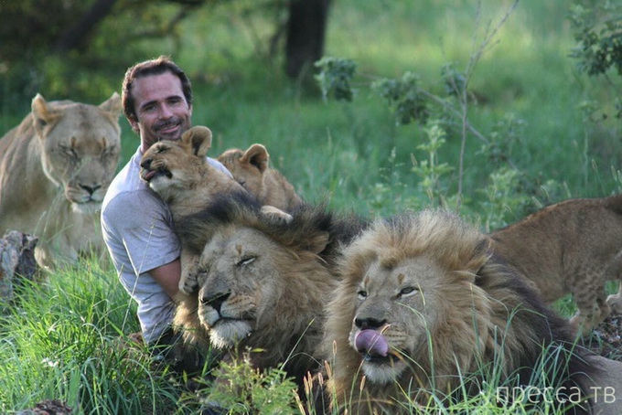 ������ ����� ��������� (Kevin Richardson) ���������� �� ������ (13 ����)