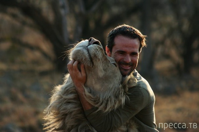������ ����� ��������� (Kevin Richardson) ���������� �� ������ (13 ����)