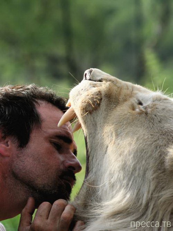 ������ ����� ��������� (Kevin Richardson) ���������� �� ������ (13 ����)
