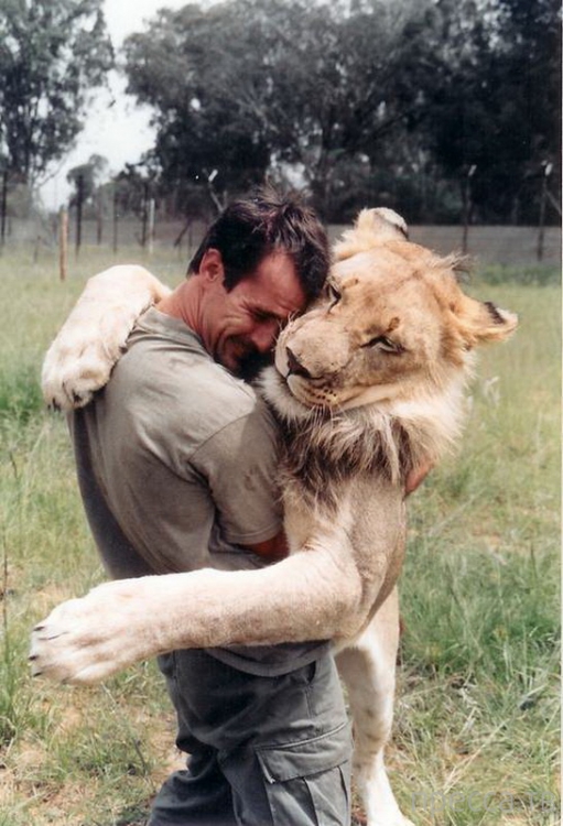 ������ ����� ��������� (Kevin Richardson) ���������� �� ������ (13 ����)