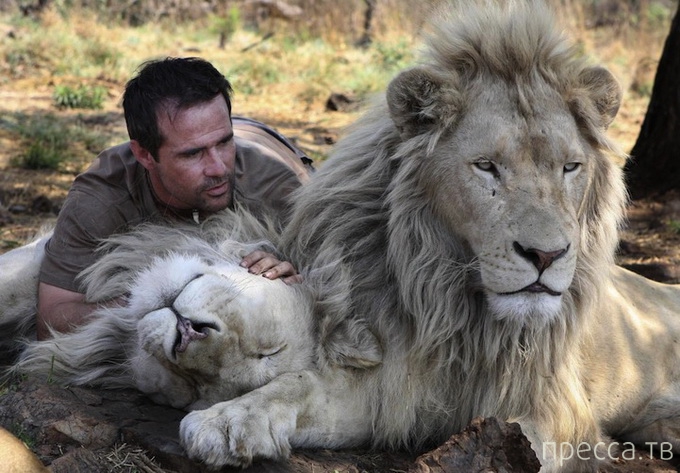 ������ ����� ��������� (Kevin Richardson) ���������� �� ������ (13 ����)