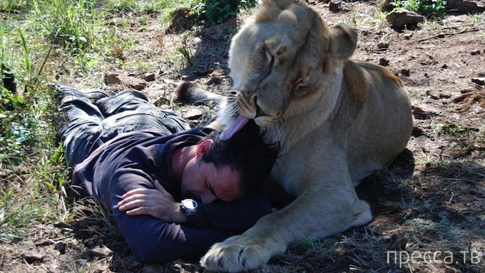 ������ ����� ��������� (Kevin Richardson) ���������� �� ������ (13 ����)