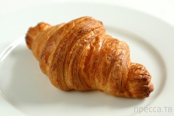 ��� ����. �������� - ������� ������ ������� (15 ����)