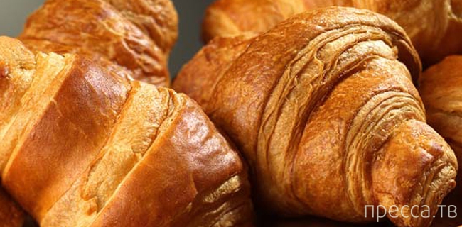 ��� ����. �������� - ������� ������ ������� (15 ����)