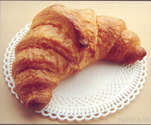 ��� ����. �������� - ������� ������ ������� (15 ����)