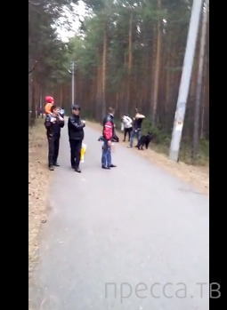 Проишествие в парке, г.Сургут...