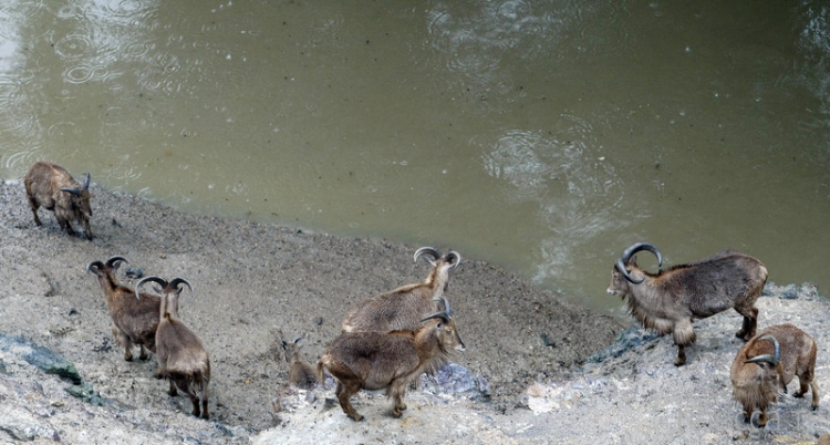 ���������� � �������� �������� (8 ����)