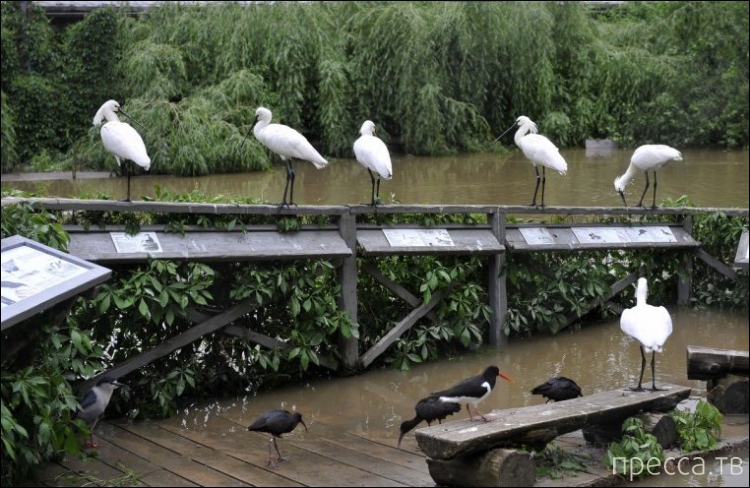 ���������� � �������� �������� (8 ����)