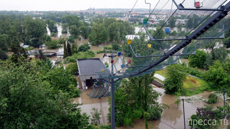 ���������� � �������� �������� (8 ����)