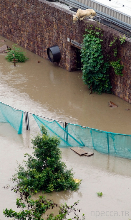 ���������� � �������� �������� (8 ����)