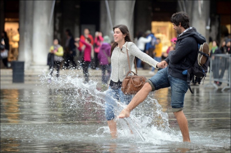 ���������� ���������� �� ������ ����� (14 ����)