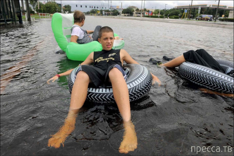 ���������� ���������� �� ������ ����� (14 ����)