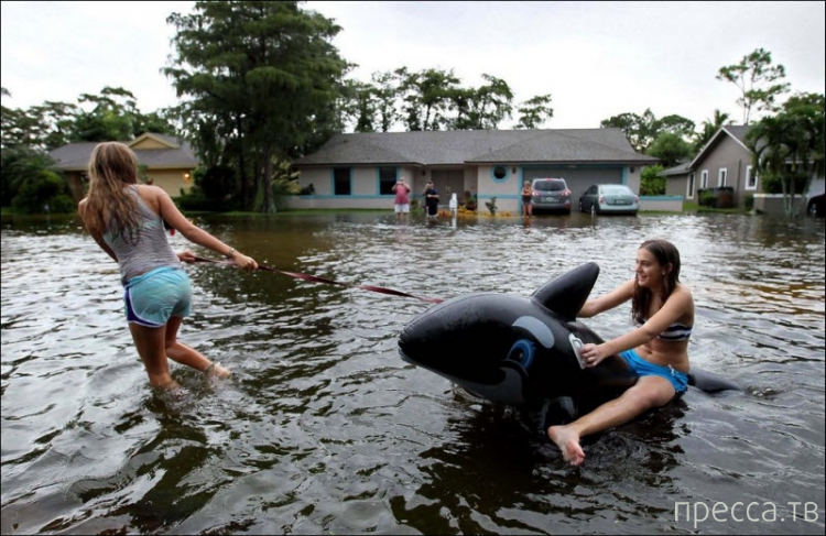 ���������� ���������� �� ������ ����� (14 ����)