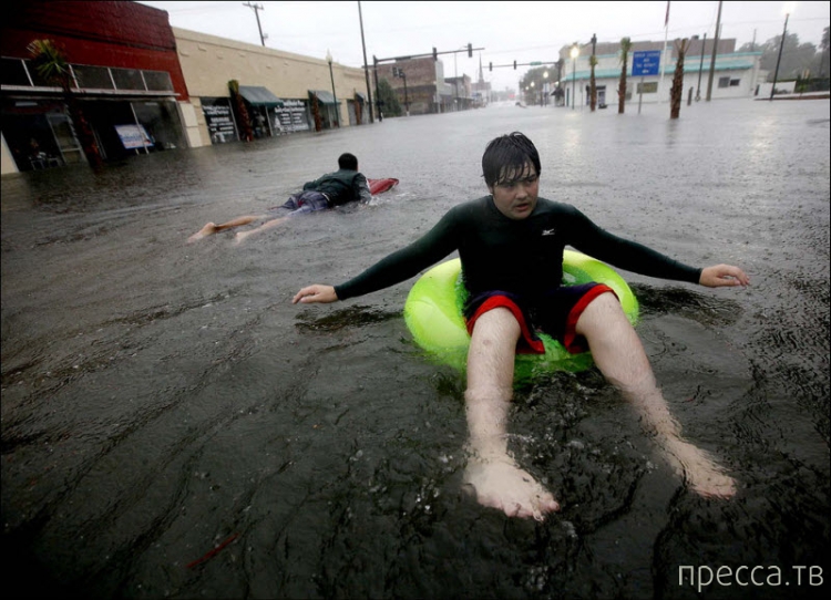 ���������� ���������� �� ������ ����� (14 ����)