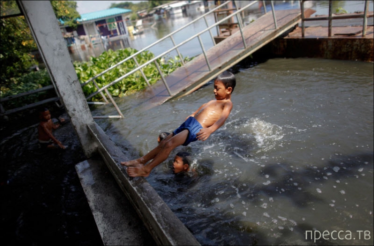 ���������� ���������� �� ������ ����� (14 ����)