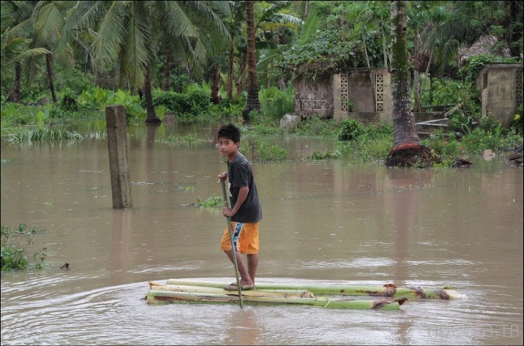 ���������� ���������� �� ������ ����� (14 ����)