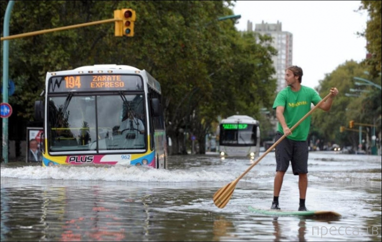 ���������� ���������� �� ������ ����� (14 ����)