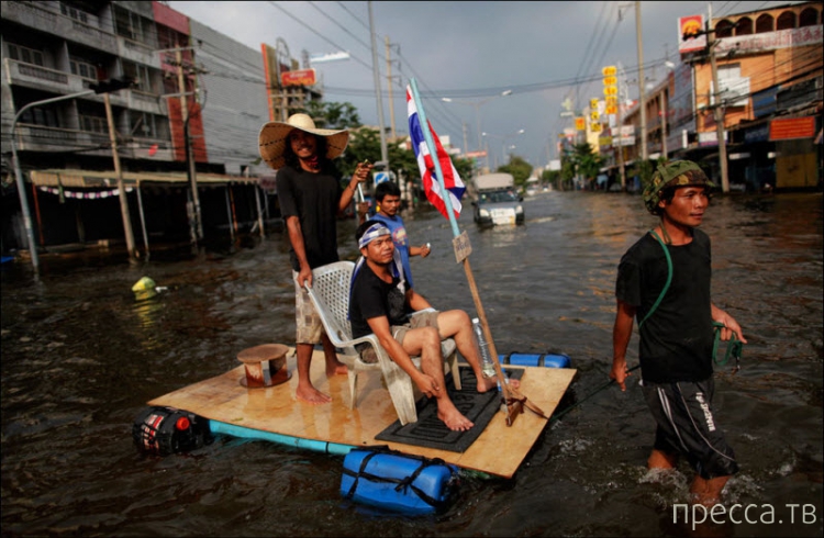 ���������� ���������� �� ������ ����� (14 ����)