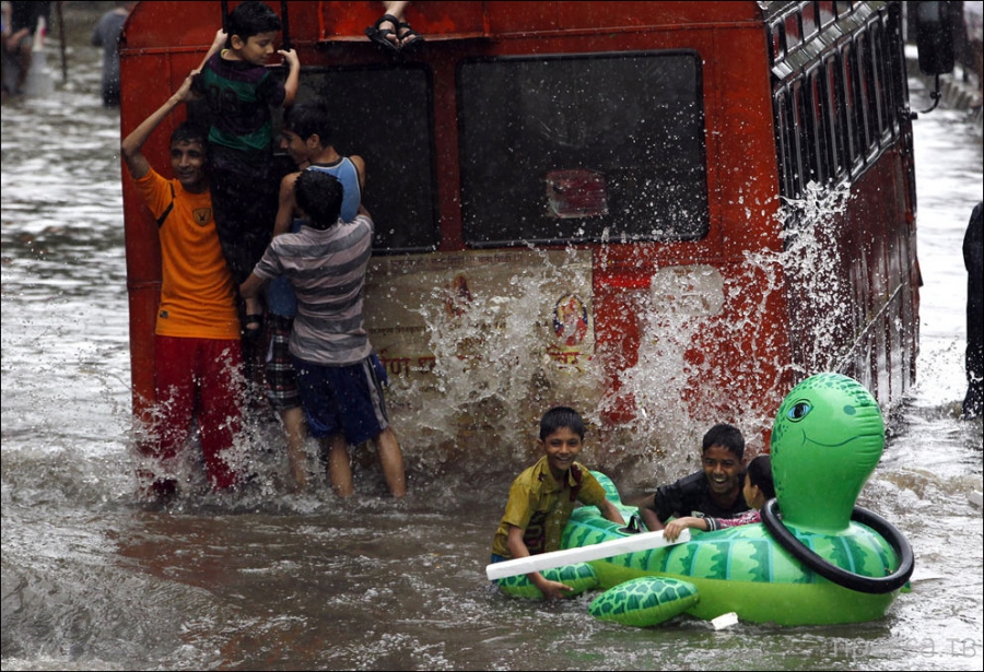 ��������� � ����� (23 ����)